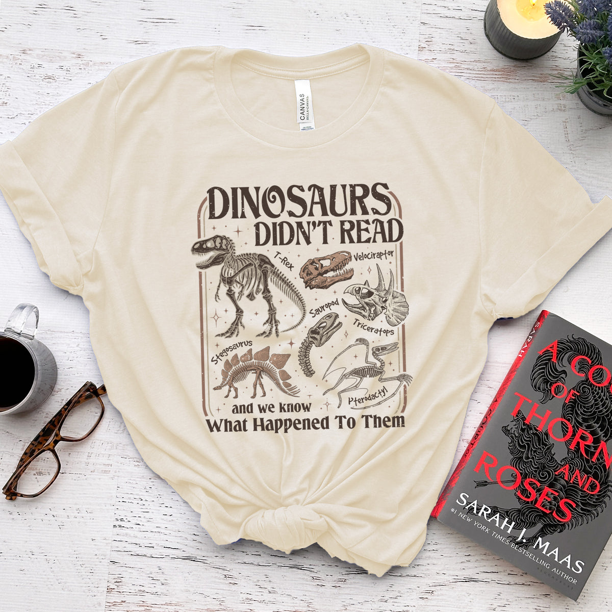 Dinosaurs Didn't Read Tee, Funny Bookish Shirt