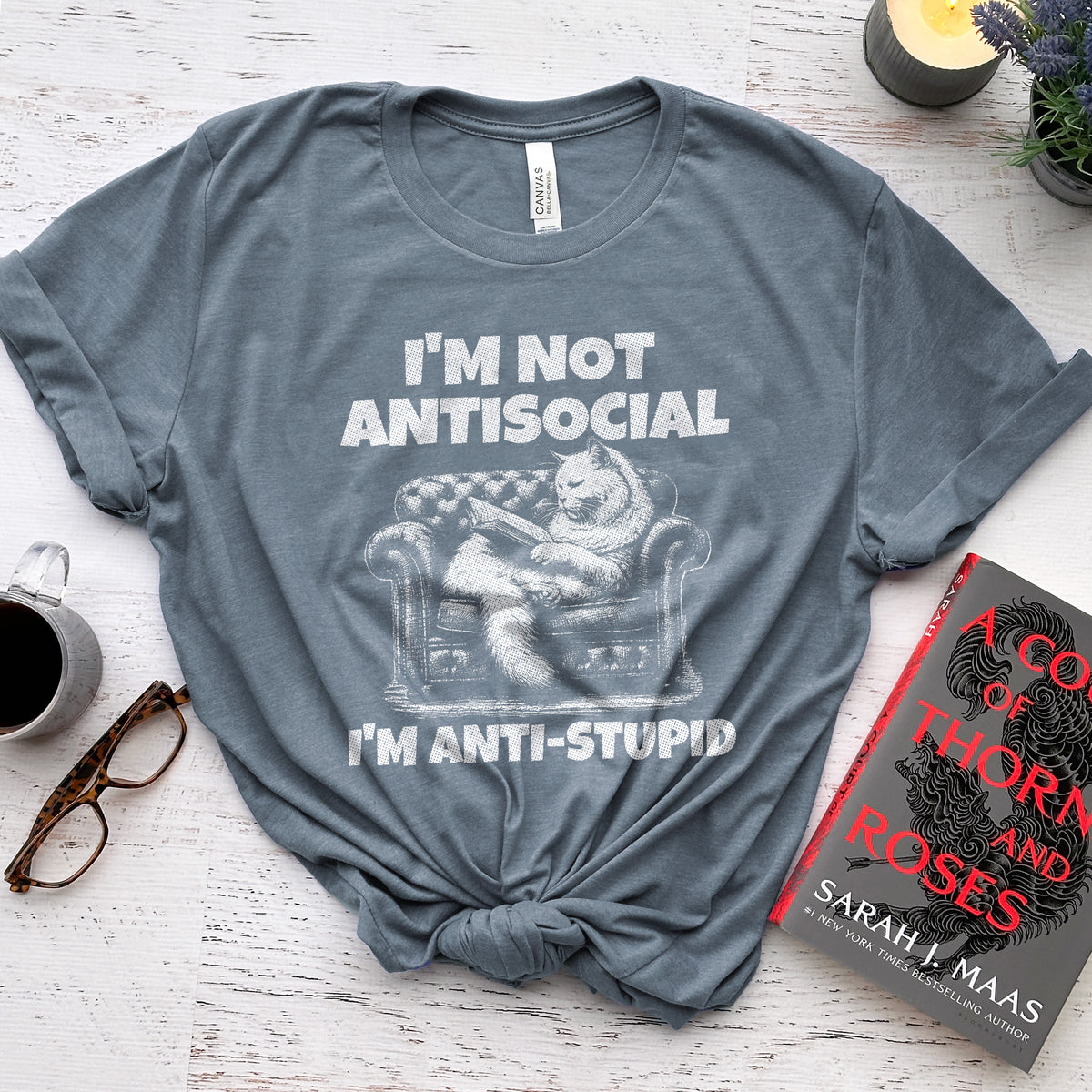 I'm Not Antisocial, I'm Anti-Stupid Cat Tee, Funny Cat Reader Shirt