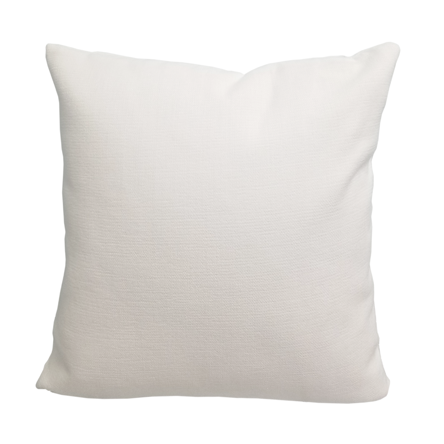 Pillow Insert