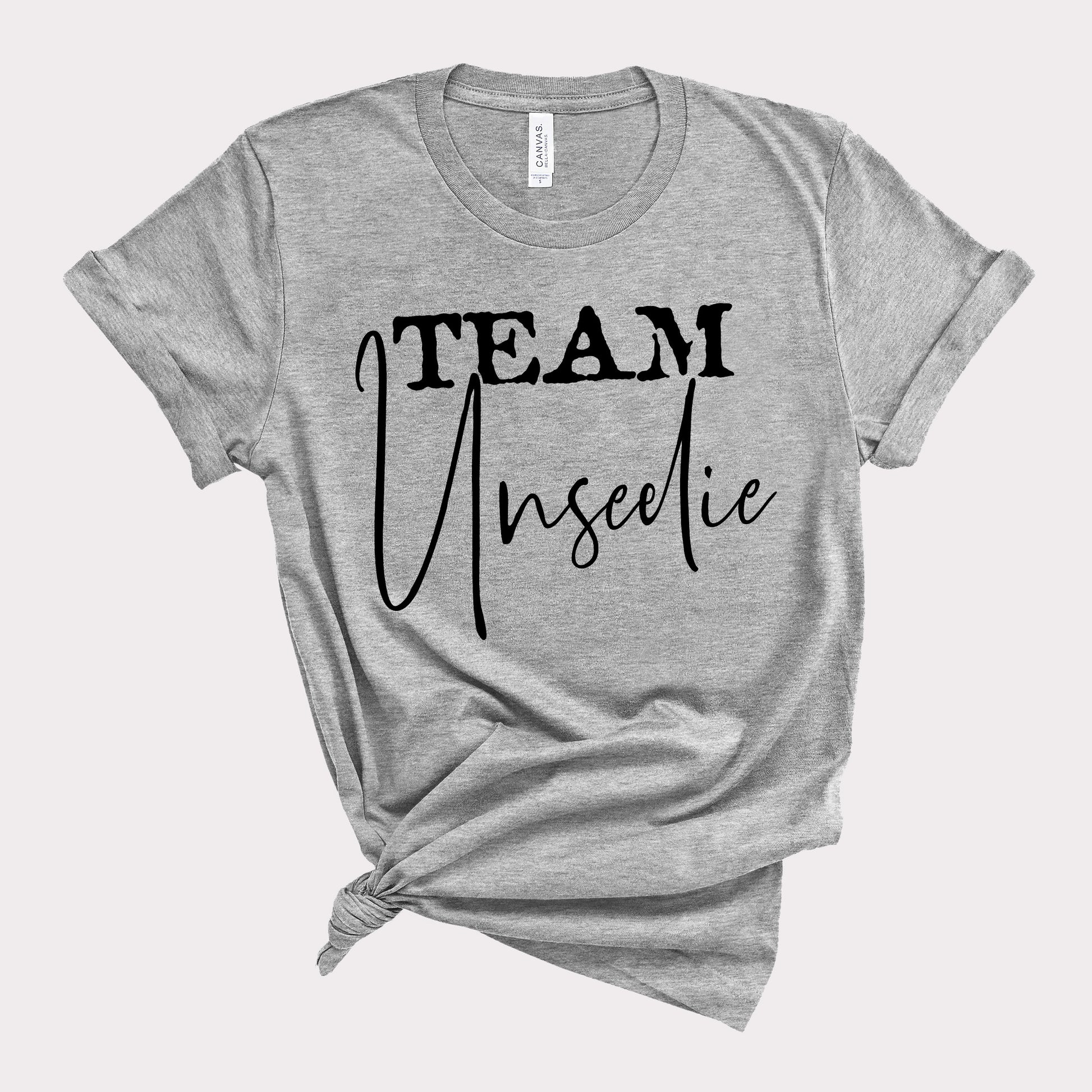 Grey short sleeve Team Unseelie Dark Fae Book T-Shirt