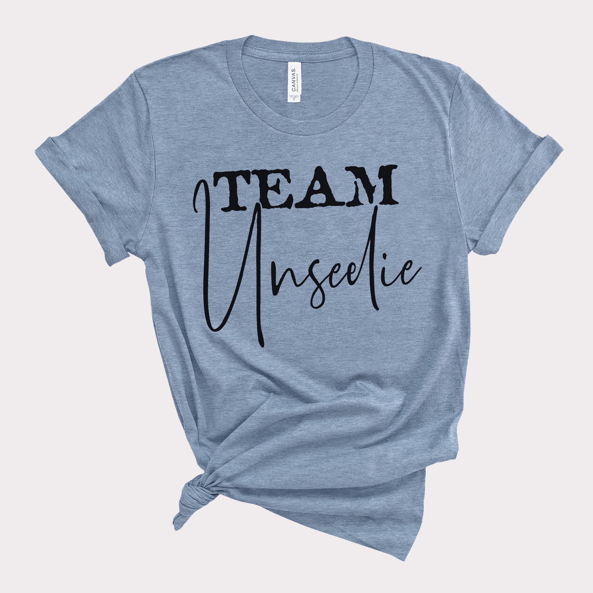 Heather Slate blue dark fantasy t-shirt that says team unseelie