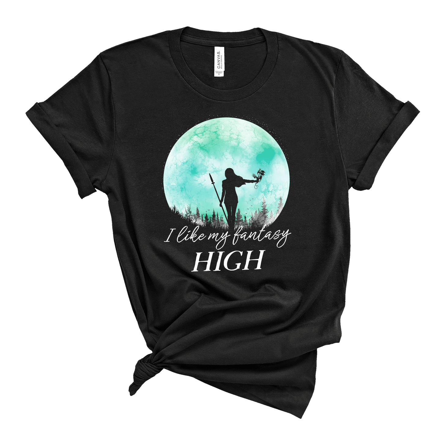 I like my fantasy high black tee with a female warrior with dragon against a teal full moon